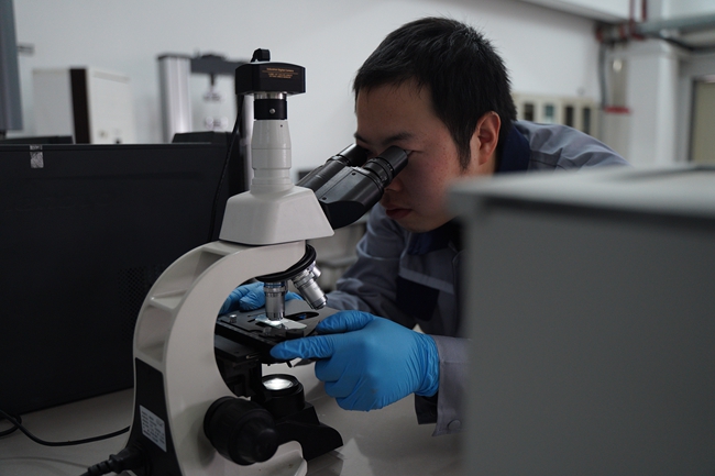 金狮贵宾会·宾至如归-尊贵显赫