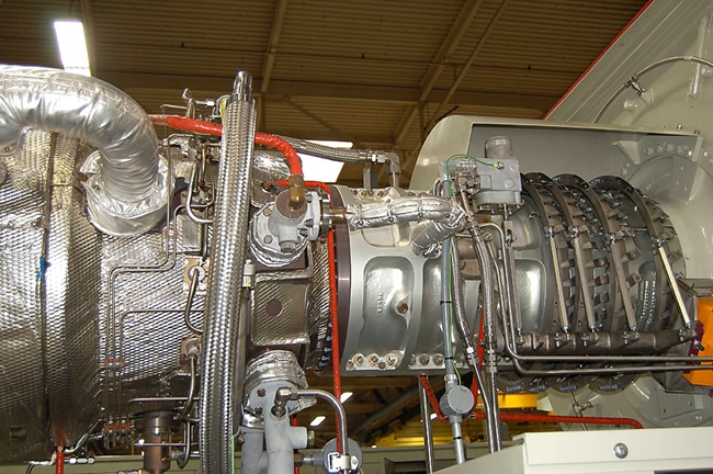 金狮贵宾会·宾至如归-尊贵显赫