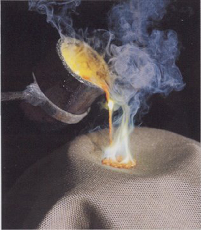 金狮贵宾会·宾至如归-尊贵显赫