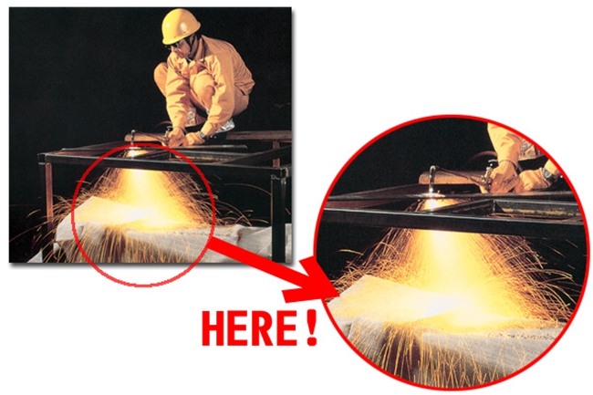 金狮贵宾会·宾至如归-尊贵显赫